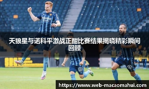 天狼星与诺科平激战正酣比赛结果揭晓精彩瞬间回顾
